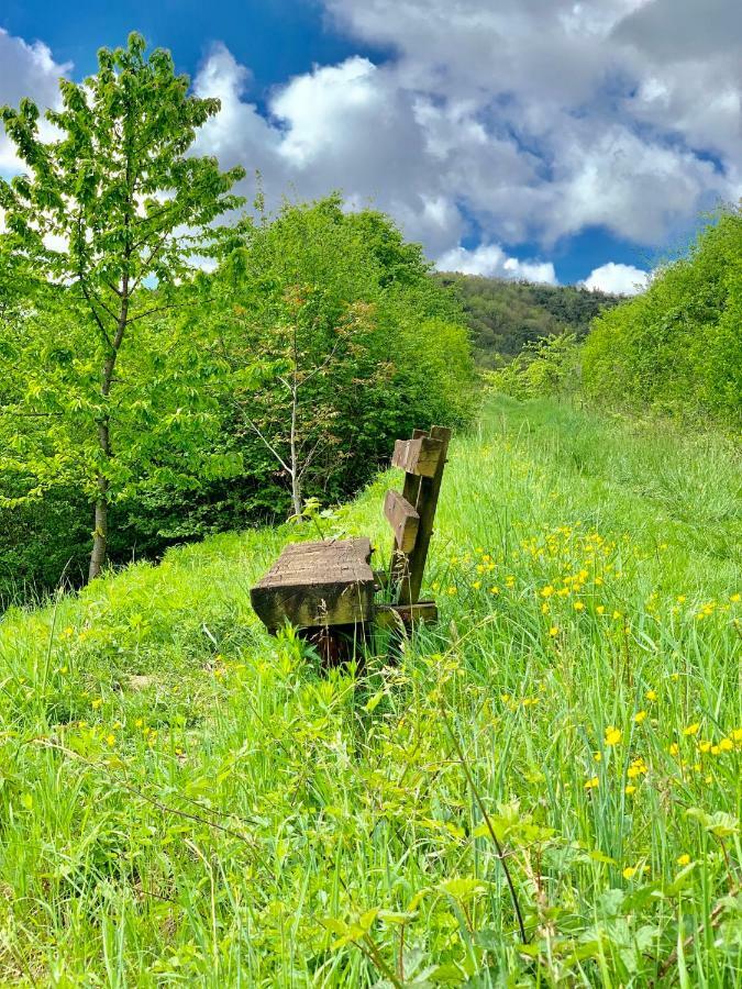 Villa Mandelblüte Gleiszellen-Gleishorbach Esterno foto